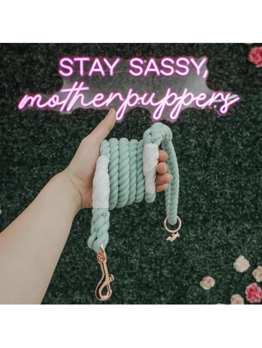 (RGB3) Sassy Woof Mint To Be Braided Rope Dog Leash 5ft Green Gray Rose Gold